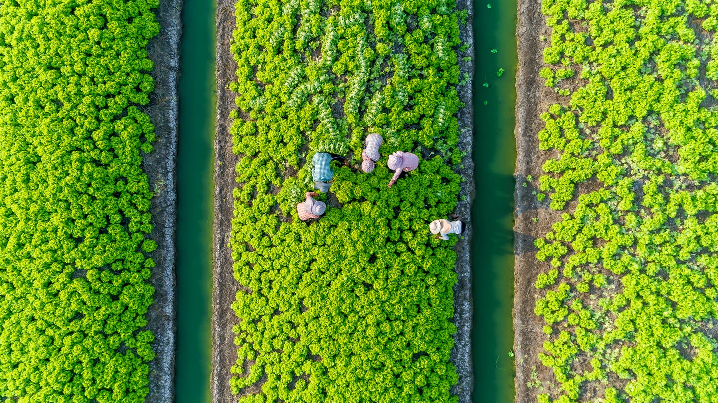 The UK's New Head of Environmental Policy is Vegan. Why It's Important