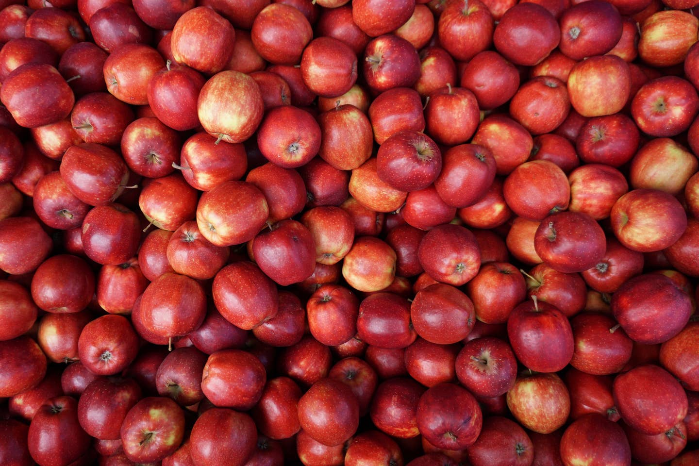 Full Frame Shot Of Apples For Sale At Market Stall