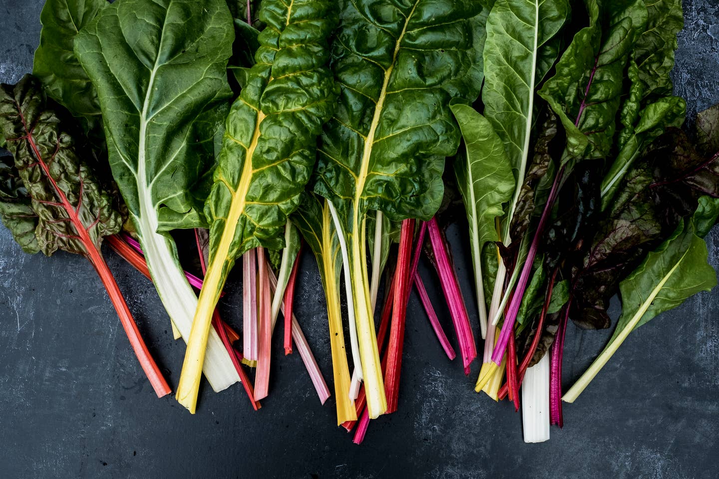 High angle close up of a bunch of freshly picked Swiss rainbow chard on grey background.