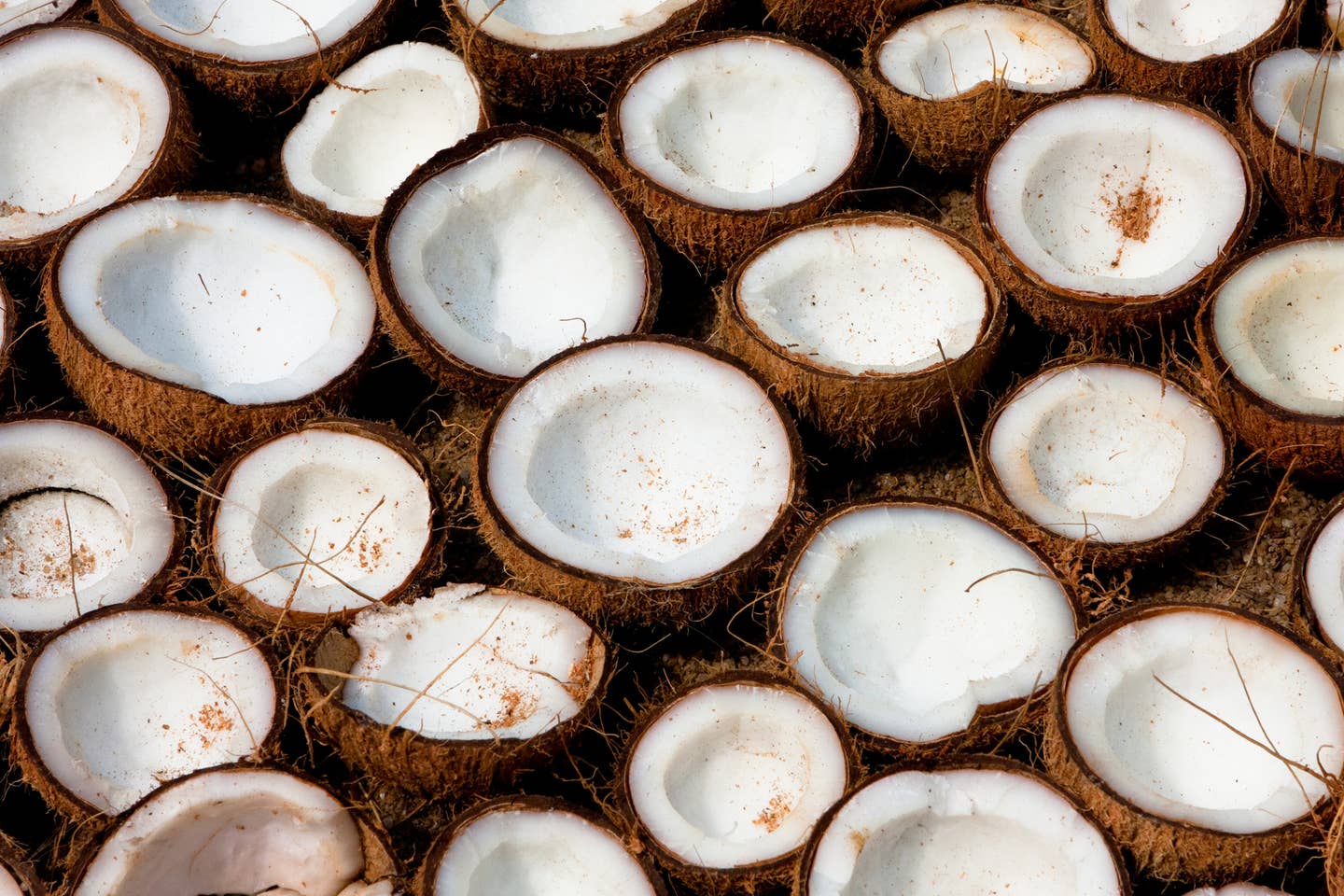 Coconuts drying in the sun