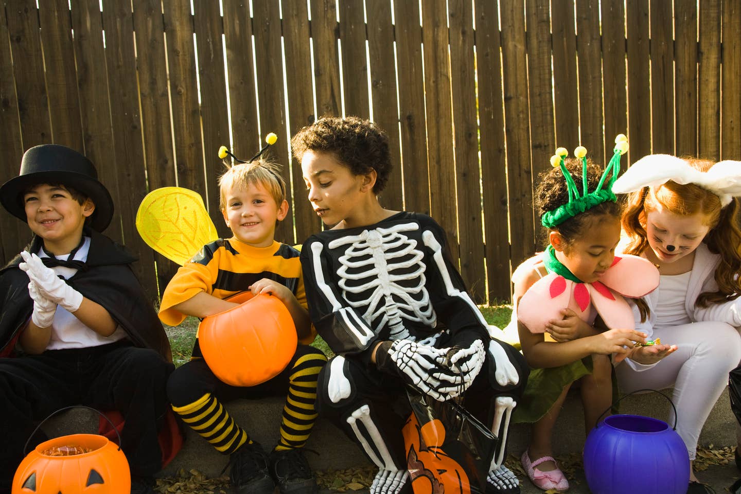 "I Gave Out Vegan Candy for Halloween. Here's What Happened."