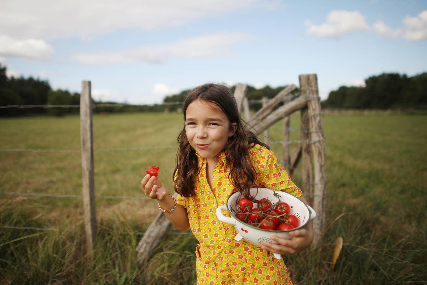 7 Tips to Get Picky Eaters to Eat Healthy