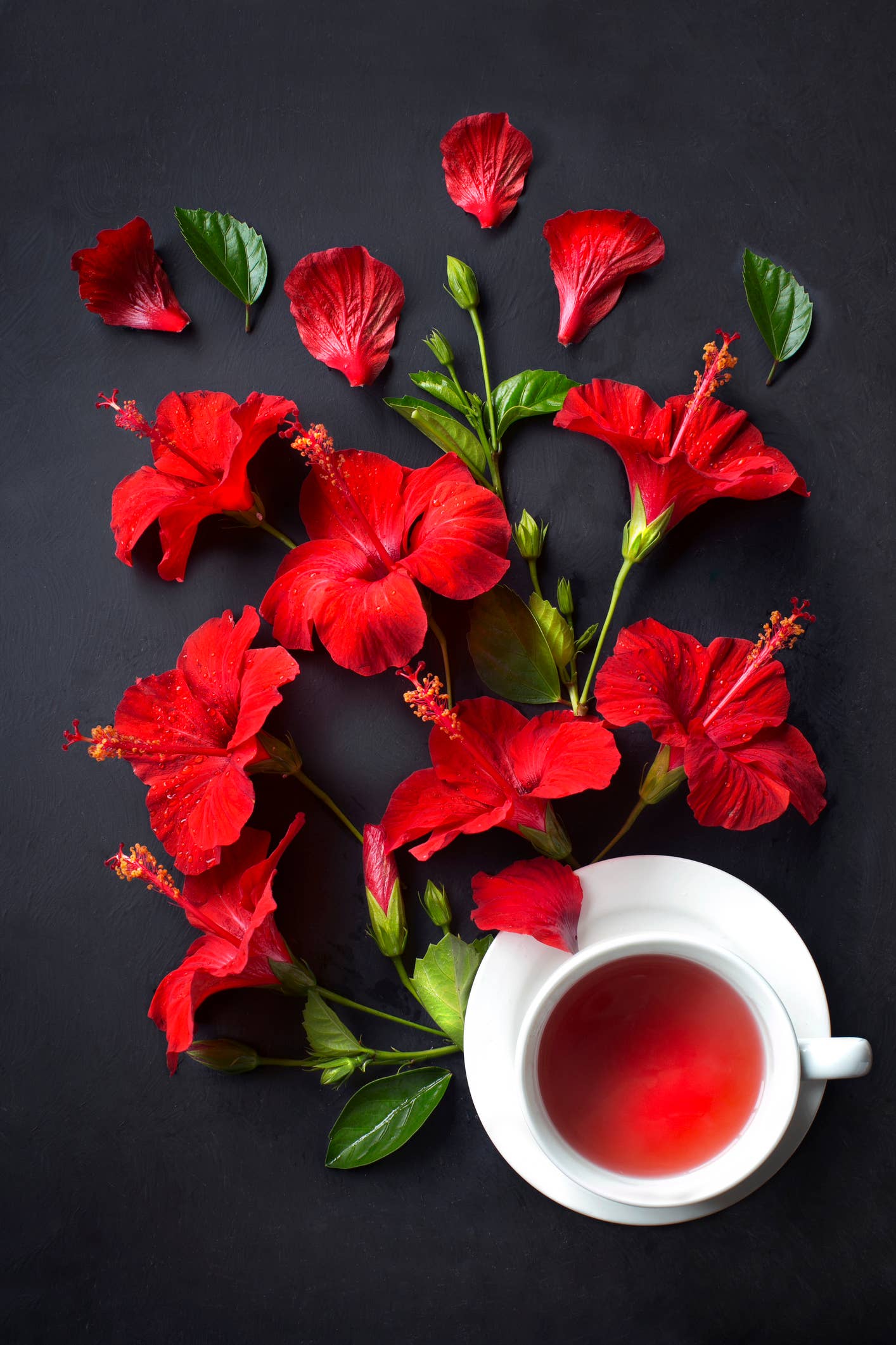 Top view of one cup of hibiscus black tea on black background.